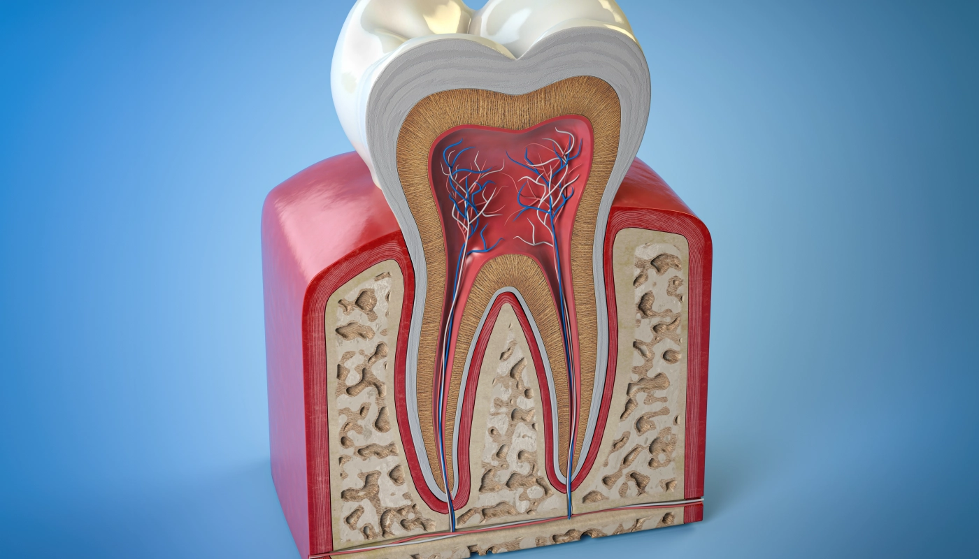 Root Canal Therapy in Goldsboro NC